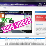 Link Finder - Detected Videos List